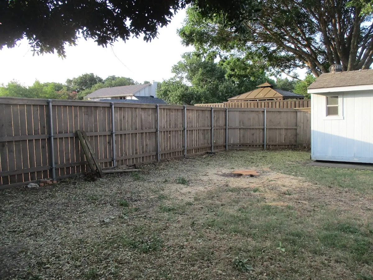 Cleared yard after professional tree removal in Glen Dale